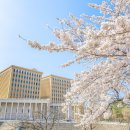 대학뮤직랜드 이미지