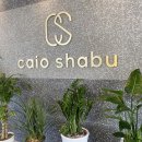 챠오챠오 이미지