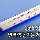 체온(體溫) 1도 낮아지면 면역력(免疫力) 30% 떨어진다 이미지