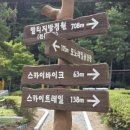 솔향어린이공원 이미지