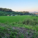 신척농장 이미지