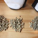 지리산 구찌네 이미지