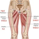 (주)코리아세븐 성남중앙점 | 남양주에서 오시는 회원님의 바디프로필 대장정 1기!!