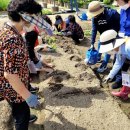 성북구치매안심센터 이미지