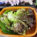 만수르횟집 | 화성 제부도 맛집 식사 후기 만수르횟집 방문