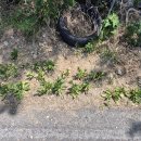 미평공원 이미지