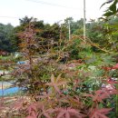 호성농장 이미지