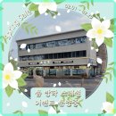로얄펫 강아지분양 고양이분양 전주본점 | 전주 로얄펫에서 특별한 강아지 분양 체험과 서비스
