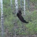 (주)팻온라인 이미지