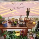 청춘감성쌀핫도그제주하귀점 네이버블로그