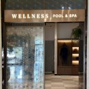 호반할인마트 | 소노캄경주 수영장 인피니티풀 풀앤스파 가격 할인 총정리ㅣ 마트 북카페 카페 오롯