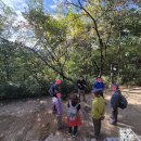 숲 걷기 명상 이미지