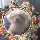 꾸준함도 나름 이미지