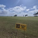 주식회사 링크스골프(Links Golf Co.,Ltd.) | 오키나와 The Southern Links Golf Club(アコーディア・ゴルフ)