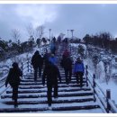 ◈ 완도(莞島) 동망산 산행 ◈ 이미지