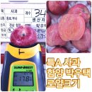 박우택 | ❌❌품절입니다❌❌[함양 박우택 사과]🍎매번 당도 측정하면 당도가 항상 높게 나오는 박우택 함양 사과...