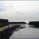 온평리-10 이미지