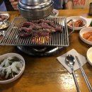 나노갈매기 티스토리