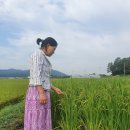 (주)대풍환경 이미지