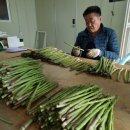 일호농장 이미지