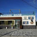 라쿤 하우스 이미지