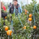 제주의료원 부속 요양병원 이미지