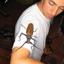 장수하늘소 이미지