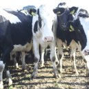 소희농장 이미지