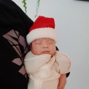 (주)새앰 샘사우나 | 30일-60일 신생아 벗어난 일상🖤🎀/크리스마스 , 새해 , 50일셀프촬영/