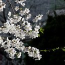 호수언저리 이미지