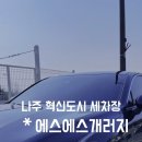 에스에스게러지 이미지
