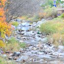 지지밸리야영장 이미지