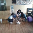 쁘띠시앙 이미지