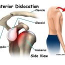운동사전 이미지