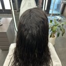 약선정 | 수유역미용실 실현 "악성곱슬" 탈출 후기