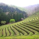 엔케이로지스틱스(주)