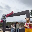 겨리농장 네이버블로그