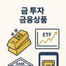 지뢰밭골(1) | 금값 폭등 시대, 3만원으로도 금 투자 가능하다고?