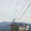 월출산산장민박 이미지