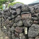 연연풍진 이미지