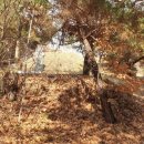 종릉재사 이미지