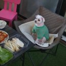 모블리펜션 이미지