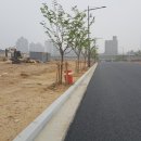 주식회사 펩트론 이미지