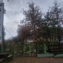 왕의 자택 이미지