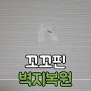 준 꼬꼬 | 꼬꼬핀 벽지 찢어져 손상복원