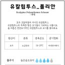 피스오퍼링(PEACE OFFERING)