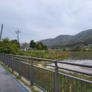 자등 2리 이미지