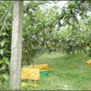 이영농장 이미지