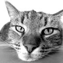 마비상사 이미지