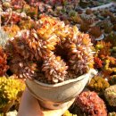 두드리하우스 이미지